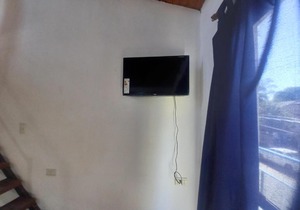 Alquilando al Paso