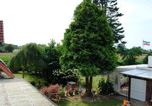 Alte Schmiede App 2