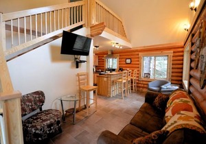 Alyeska Hideaway Log Cabins - Placer Cabin