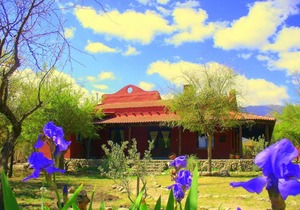 Apart de Campo Maia