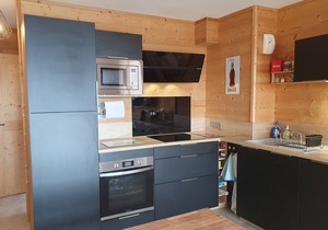 Apartment 8 pers. Ski in ski out La Toussuire