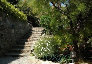 Apartment in Villa Sorbo with sea view