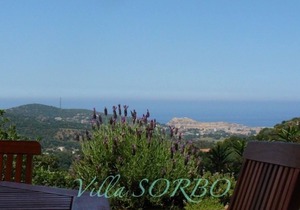 Apartment in Villa Sorbo with sea view