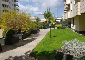 Apartament Witawa