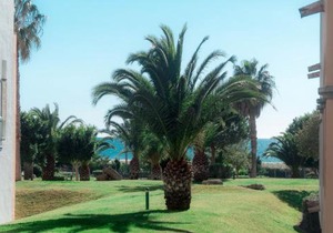 Apartamento Atlanterra Playa