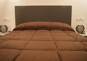 Apartamentos Borruscall