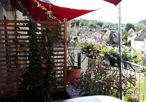 Apartment uf d Bihni - Winzerhof Senn