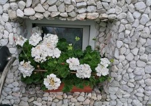 Apartma Arh