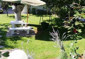Apartma pri Olgi