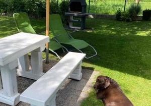 Apartma pri Olgi
