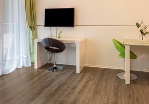 Apartment 1 in Apartment House “Aach Apart” near Lake Constance with Balcony