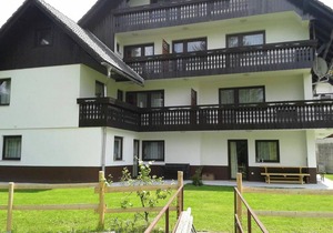 Apartments Bor 5