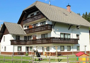 Apartments Bor 5