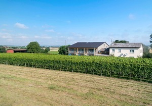 Apartment 1 for 3 persons - Winzerhof Schmid