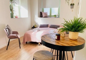 Apartment ∙ 1 bedroom ∙ 2 guests