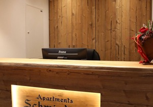 Apartment 2 - Wohn-/schlafraum, Dusche, WC - Apartments Schmiedgut