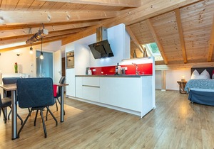 Apartment 6 Penthouse Suite 64 sqm, 1-4 persons with large balcony