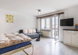 Apartment Alouette CXVll is renovated in 2015 and is located on the 3rd floor of the apartment build