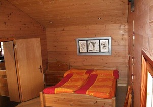 Apartment Alphütte Bielerhüs in Fiesch - 4 persons, 2 bedrooms