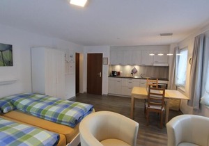 Apartment Amedee in Saas-Fee - 2 persons, 1 bedrooms