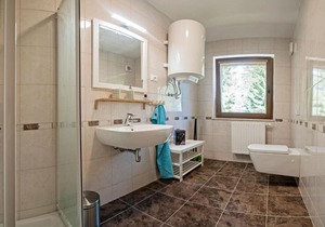 Apartment Apartma Lisica