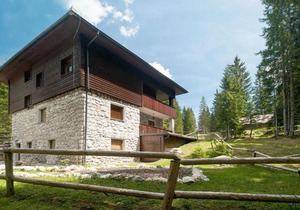 Apartment Apartma Medved