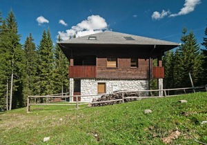 Apartment Apartma Medved