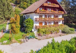 Apartment Sterngut in Unterach am Attersee - 4 persons, 1 bedrooms