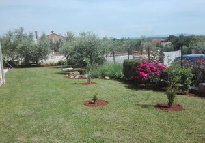 Apartment Barba