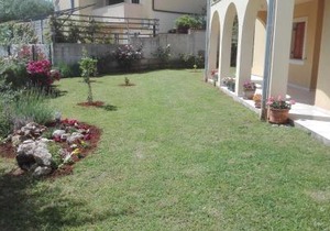 Apartment Barba