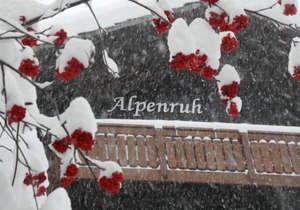 Apartment Chalet Alpenruh in Saas-Fee - 4 persons, 1 bedrooms