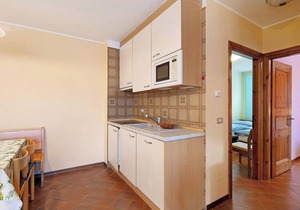 Apartment 'Chalet Meridiana 8' with Mountain View