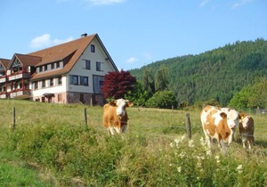 Apartment Freyenhöfe in Baiersbronn - 2 persons, 1 bedrooms