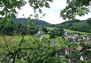 Apartment Gebauer in Antweiler - 2 persons, 1 bedrooms