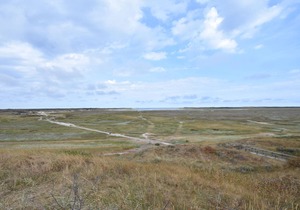 Apartment in tasteful farmhouse in De Cocksdorp, on the Wadden island of Texel