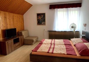 Apartment in Balatonlelle 19129