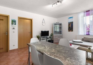 Apartment in Saxon with terrace