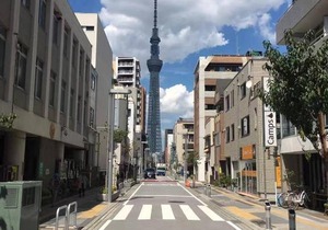 Apartment in Tokyo 8175