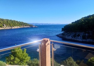 Apartment Ivano - 20 m from Sea: A3(2+1) - Cove Osibova (Milna), Island Brac, Croatia