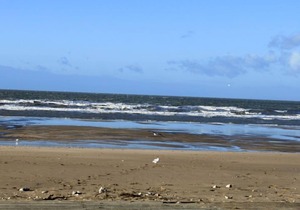 Apartment Les Corniches du Mont Canisy in Blonville sur mer - 2 persons, 1 bedrooms