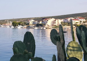 Apartment Marina Simuni