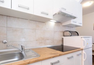 Apartment Nikola with Terrace