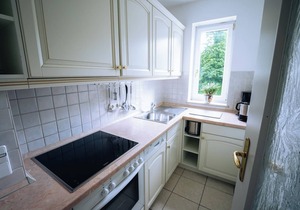 Apartment no. 11, 46sqm, shower/WC, living/bedroom, east-facing balcony