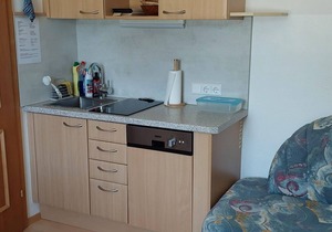Apartment No. 3/1 bedroom/shower, WC - Pichler, Maxgut