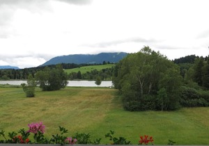 Apartment no. 8 (type A, ground floor) dog on request - Appartementhaus Hörnleblick