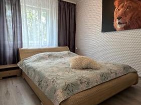 Apartment on Karja