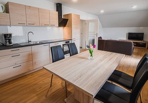 Apartment Predoslje 2