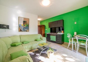 Apartment Pud Oreh 306