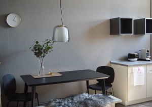 Apartment Pureney- Stadtmitte- Whg. 3