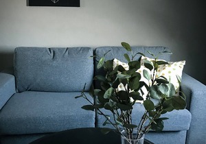 Apartment Pureney- Stadtmitte- Whg. 5
